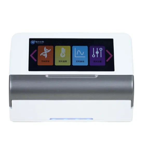 Revolutionizing Microbial Diagnostics with PCR