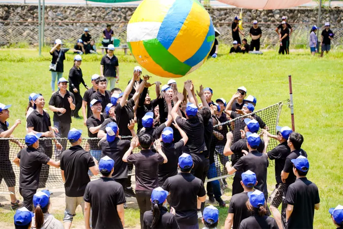 types of mosquito mesh