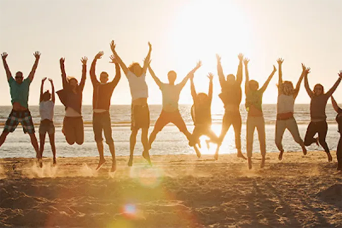 types of fly screen mesh