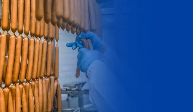 Ripening Process For  Meat Products