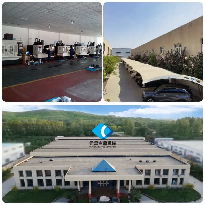 Secret Weapon in Meat Processing: An In-Depth Analysis of Hebei Yuanchang Machinery Industrial Bowl Cutter (With Selection Guide)