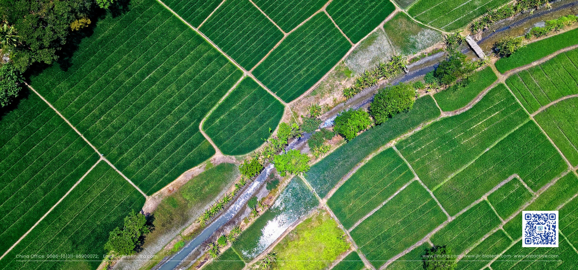 The target ingredients are precisely extracted through sophisticated separation and purification techniques to ensure that every drop of extract is rich in high performance, giving the product superior quality and efficacy.