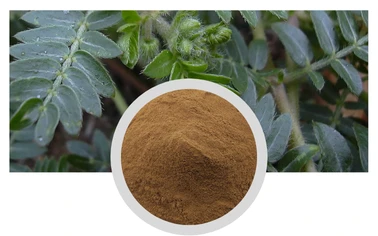 High Purity Tribulus Extract Saponins | China Raw Material