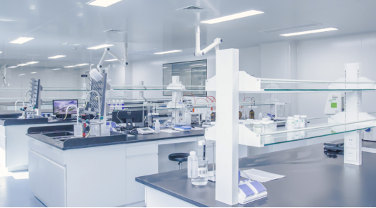 Beta Carotene Our Commitment to High Purity Standards