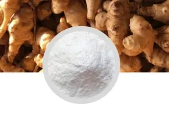 Plant Extract Is Crucial For The Health And Wellness Industry