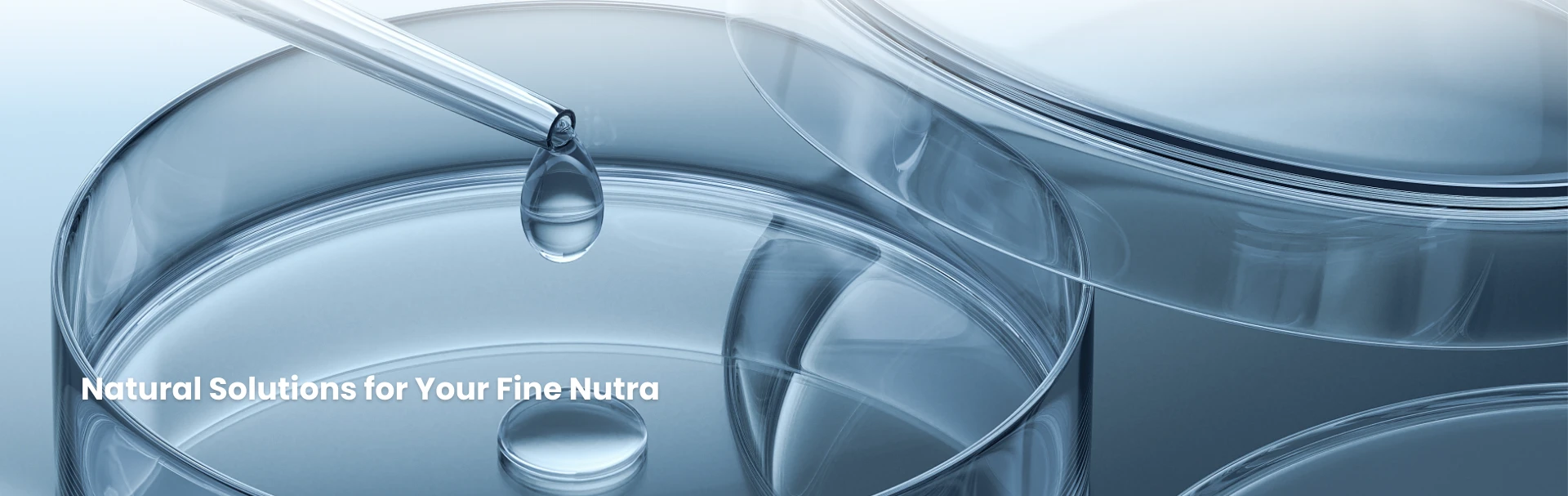 nutraceutical raw material suppliers