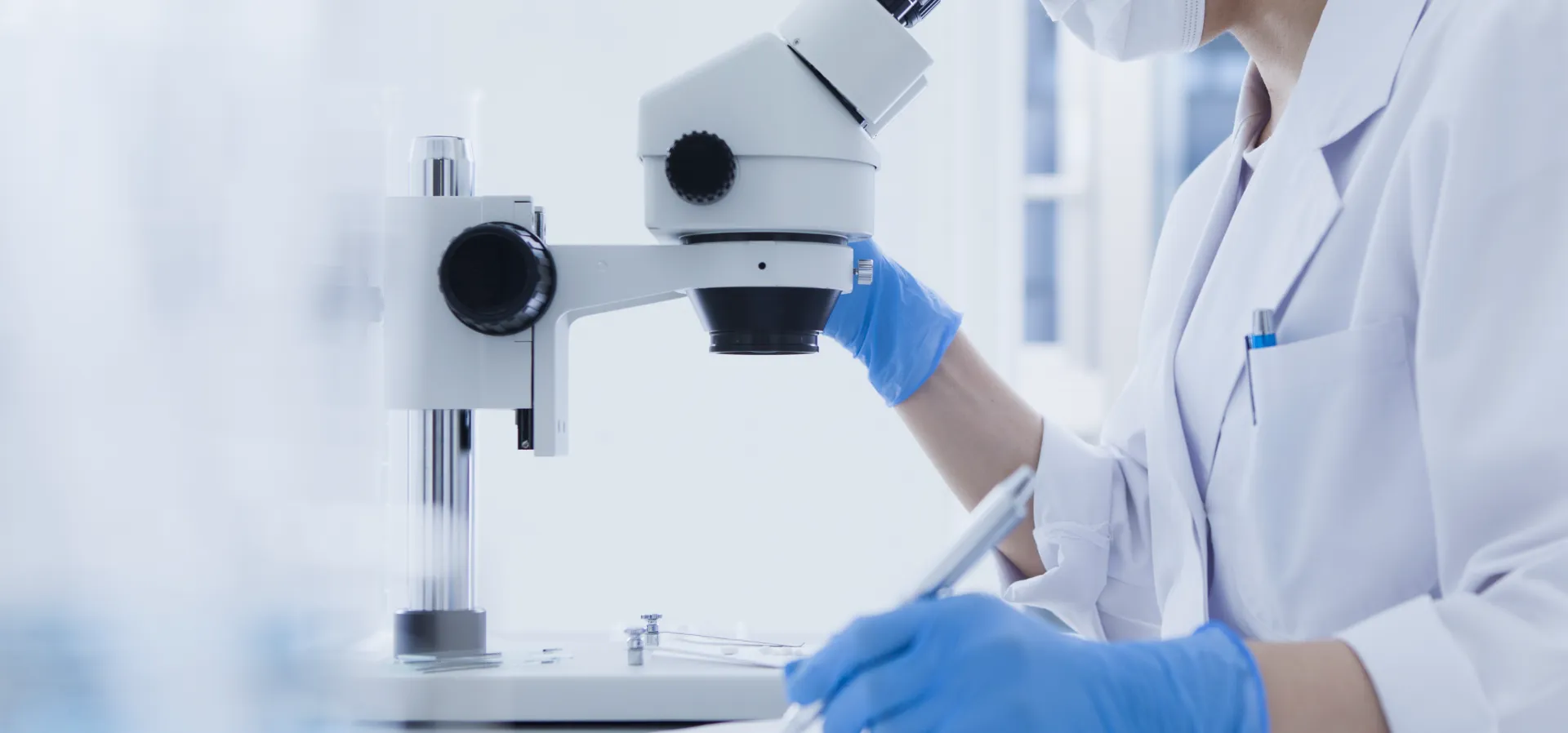 The Rising Demand for Plant Extracts: What You Need to Know