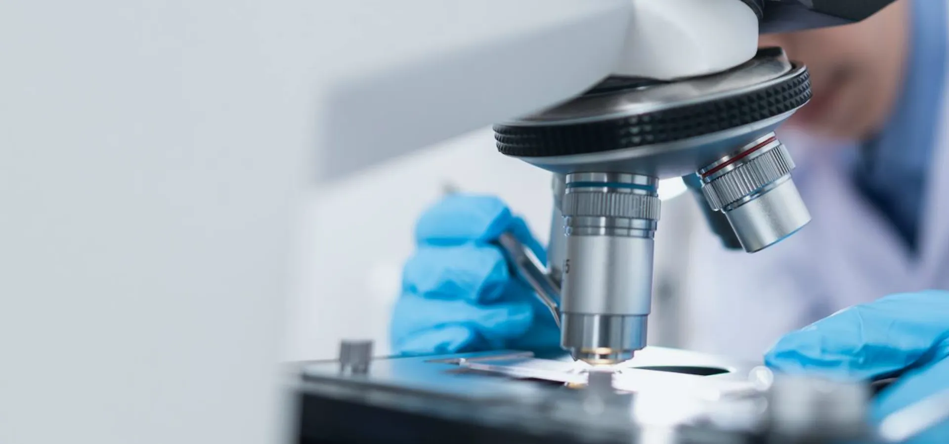 Unlocking the Benefits of Huperzine A Powder