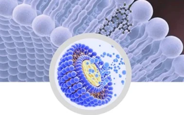 Huperzine A Powder 1% 98% Chinese Herbal Medicine Factory Wholesale