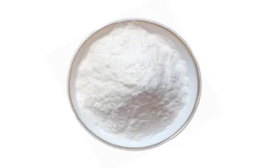 what does bacopa do to the brain