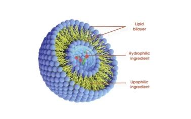 root extract ashwagandha root extract ashwagandha