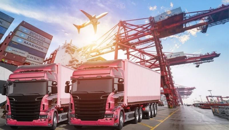 gotu kola extract for hair growth gotu kola extract for hair growth