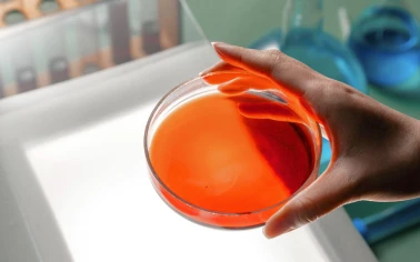 Melatonin 99% Powder Pharmaceutical Intermediate China Manufacturer Sleeping-Aid