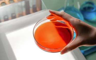 Valerian Extract Valerenic Acid Herbal Extract Anti Depression Chinese Raw Material