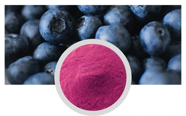 Blueberry Extract Powder 5% 25% Anthocyanidins Polyphenols by HPLC