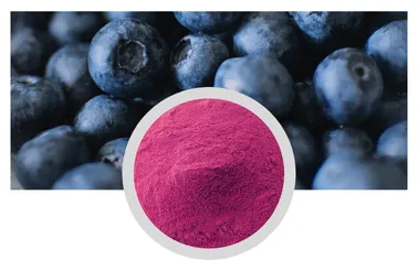 Blueberry Extract Powder 5% 25% Anthocyanidins Polyphenols by HPLC