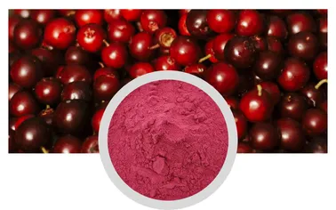 black pepper root extract