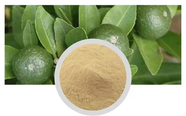 organic bearberry extract