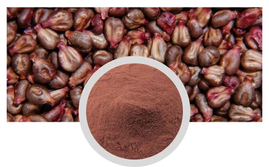 Grape Seed Extract Powder Proanthocyanidins Polyphenols Chinese Factory High Purity