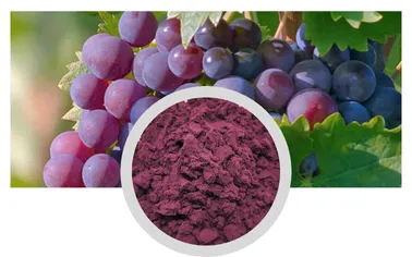 nutraceutical raw materials