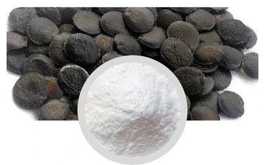 Wholesale Griffonia Seed Extract 5-HTP 99% Powder for Mood Support