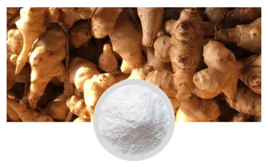 95 turmeric extract & black pepper