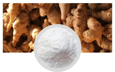 Inulin Powder Chicory Root Extract Natural Sweentener Sugar Substitutes