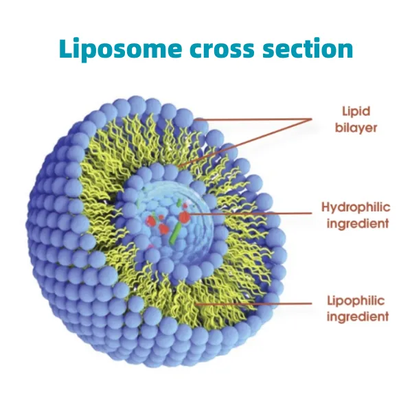 black pepper extract in supplements