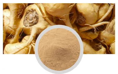 Maca Extract Powder Sexual Health Care Functional Plant Extract Wholesale