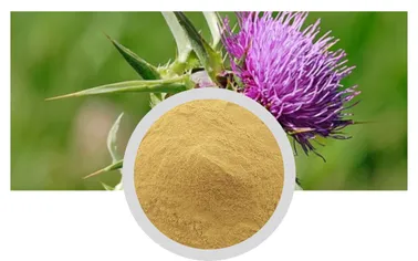 matricaria chamomilla extract