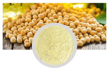 Phosphatidylserine 50% Soybean Extract Powder - Nootropic Raw Material