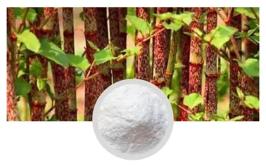 Trans-Resveratrol 98% Powder Polygonum Cuspidatum Extract Skin Care Factory Supply
