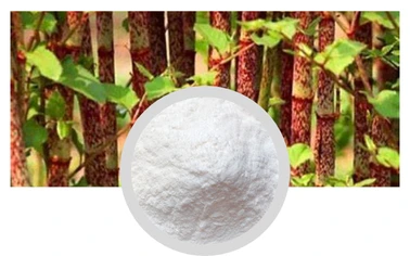 ashwagandha bioperine