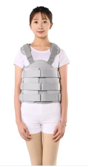 Comprehensive Thoracic and Lumbar Support