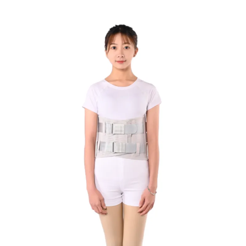 Back Support for Everyday Comfort