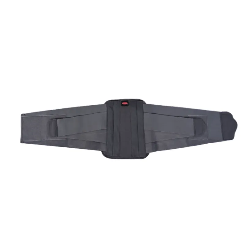 Back Belts for Pain and Core Muscle Support