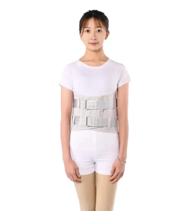 Essential Back Support Solutions