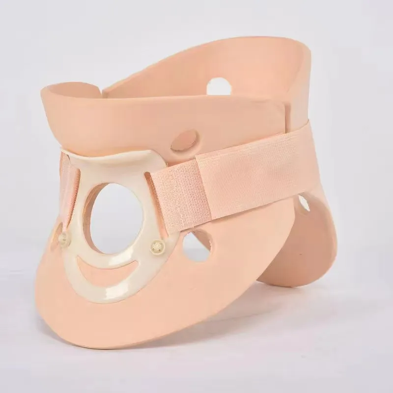 back and shoulder support belt