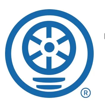 c spine collar types