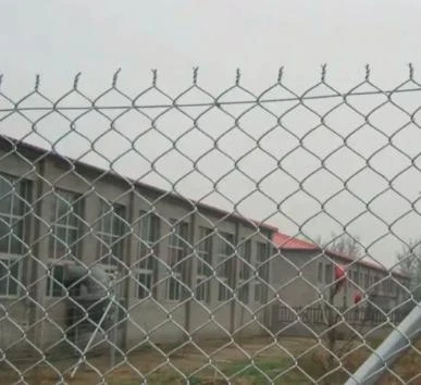 Metal Wire Fence Solutions