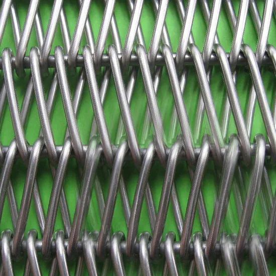 201 304 316L 310S Stainless Steel Metal Wire Mesh Conveyor Belts