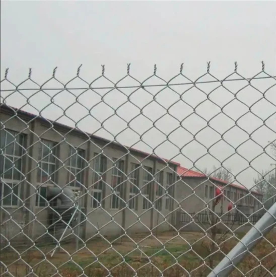 3.0mm Galvanized Chain Link Fence PVC Coated Mesh Rolls - Shijiazhuang Chengsen Trading Co., Ltd.