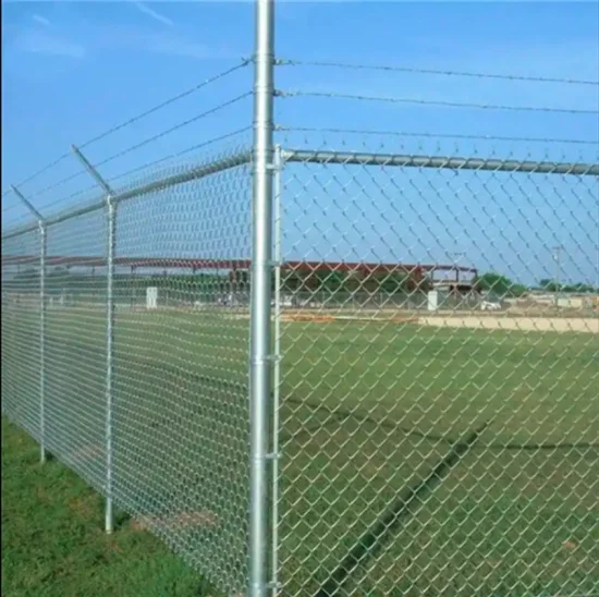 3.0mm Galvanized Chain Link Fence PVC Coated Mesh Rolls - Shijiazhuang Chengsen Trading Co., Ltd.
