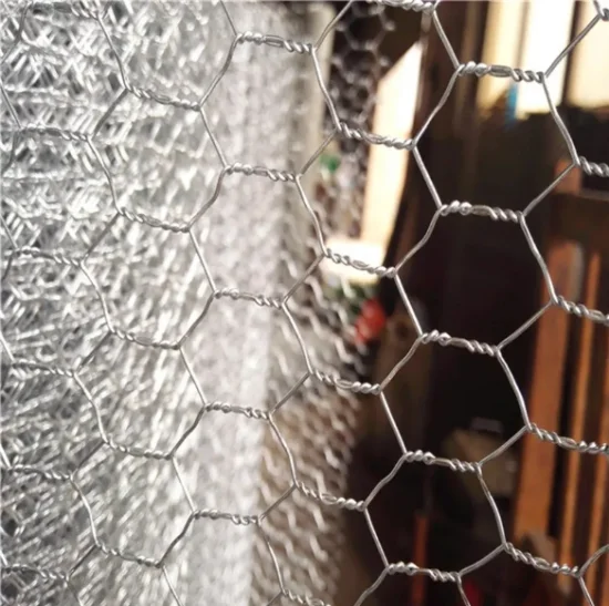 Hot Sale Triple Twist PVC Coated Hexagonal Wire Mesh - Galvanized 60-80mm Chicken Fence Cheap