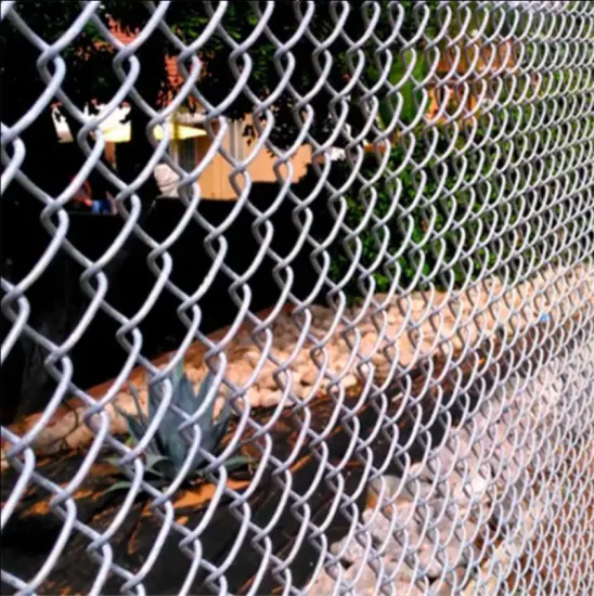 3.0mm Galvanized Chain Link Fence - Shijiazhuang Chengsen Trading Co., Ltd.