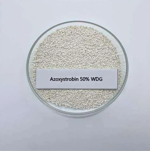 Azoxystrobin: Fungicide Products and Their Uses