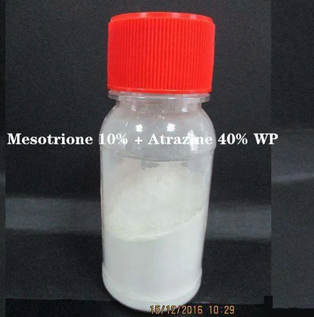 Mesotrione Herbicide: Liquid Forms and Weed Control