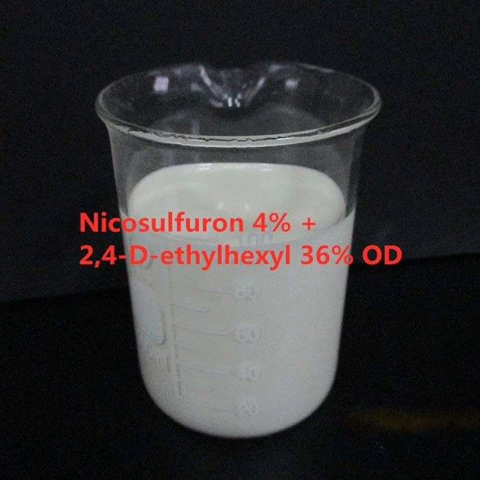 2,4-Dichlorophenoxyacetic acid