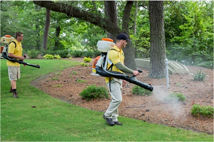 Success in Mosquito Control: An Integrated Approach