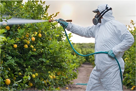 Food and Pesticides